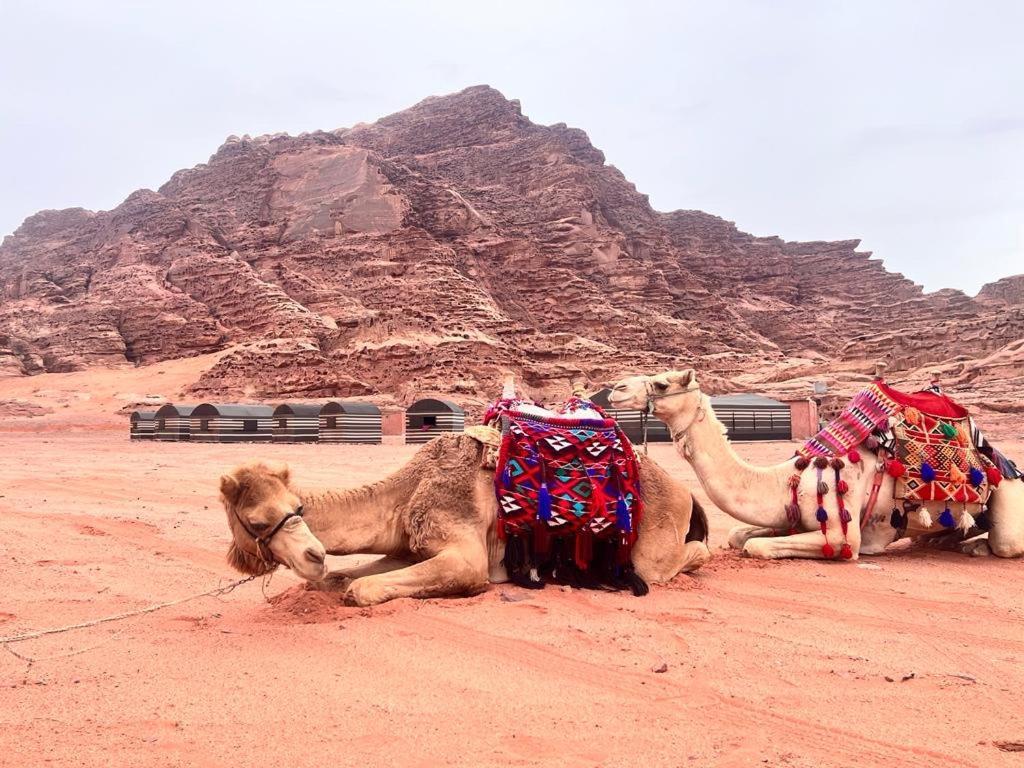 Wadi Rum Sky Tours & Camp Exterior photo